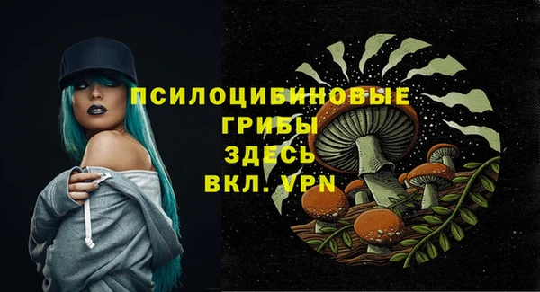 ешки Алзамай