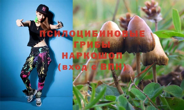 ешки Алзамай
