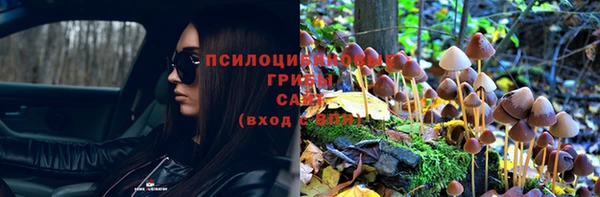 ешки Алзамай