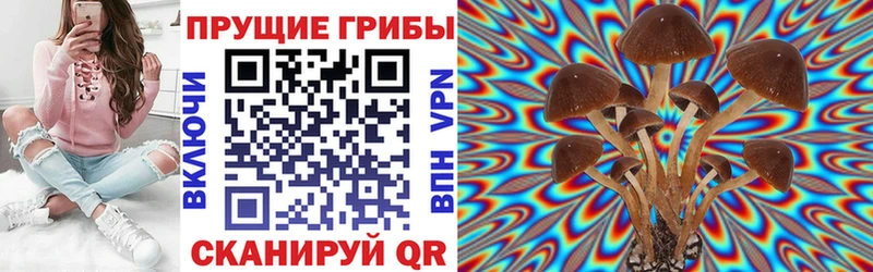 Псилоцибиновые грибы GOLDEN TEACHER  Обнинск 